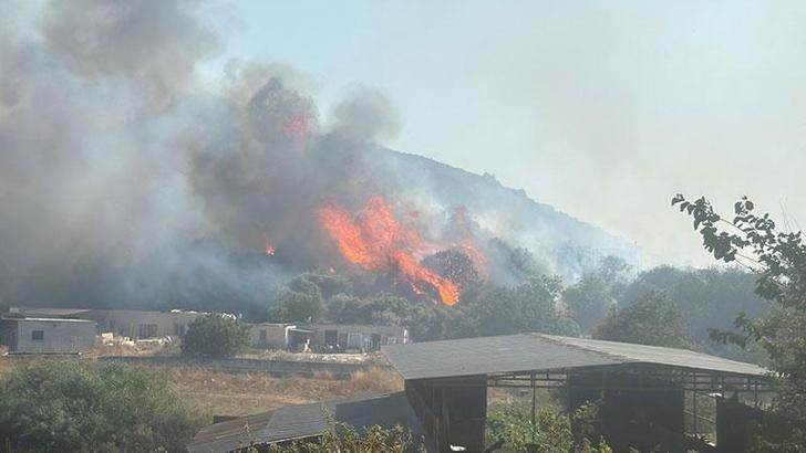 Bodrum'da çıkan maki yangını kontrol altında