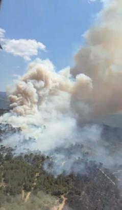 Balıkesir'de orman yangını / Ek fotoğraflar