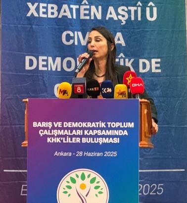 DEM Parti'li Hatimoğulları: Barış süreci muhalefet olmadan olmaz