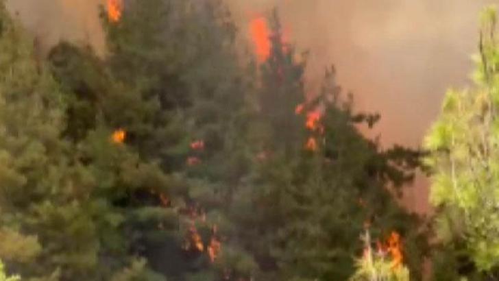 Kahramanmaraş'taki orman yangını 33 saatte söndürüldü