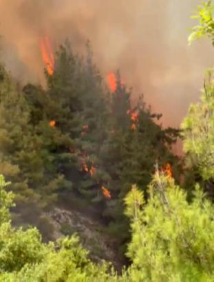 Kahramanmaraş'taki orman yangını 33 saatte söndürüldü