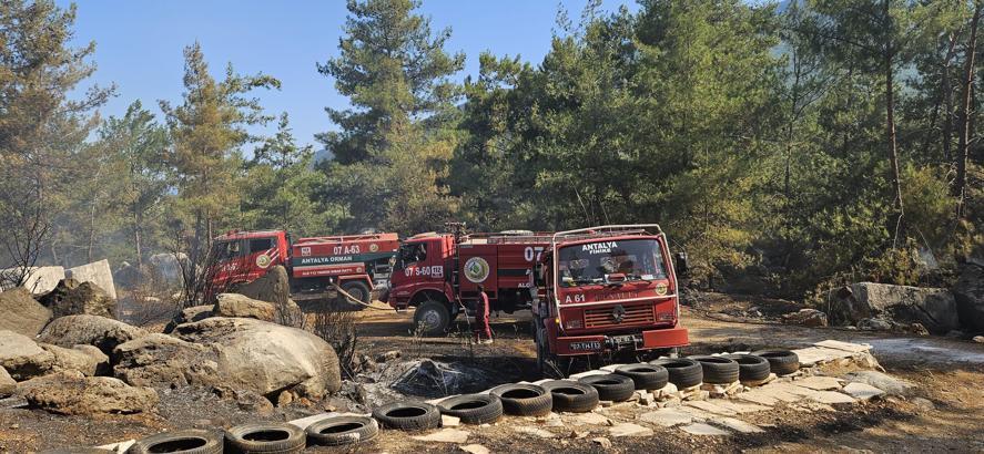 Antalya'da orman yangını (3)
