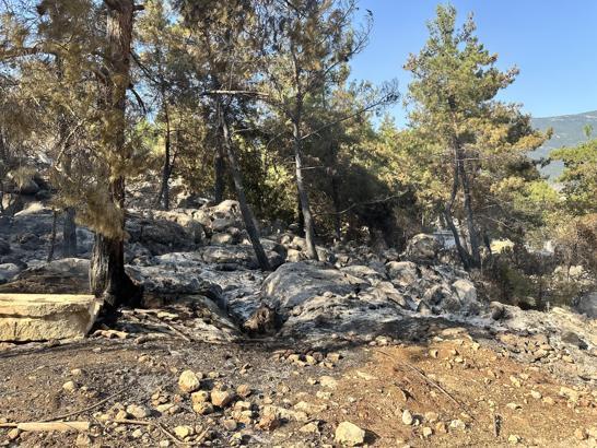 Antalya'da orman yangını / Ek fotoğraflar