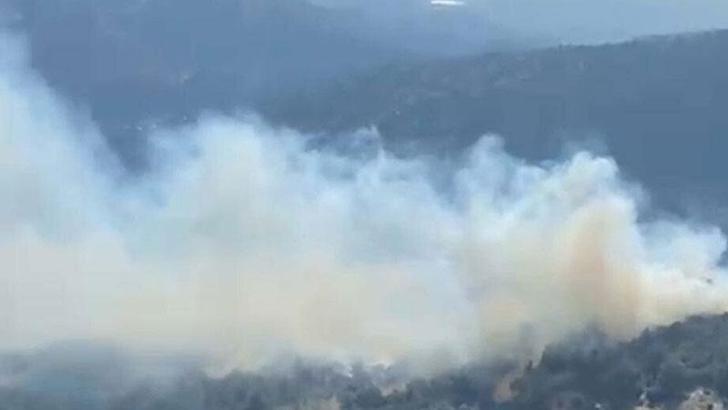 Aydın'da orman yangını