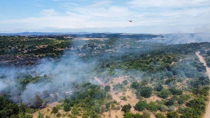 Edirne'de orman yangını