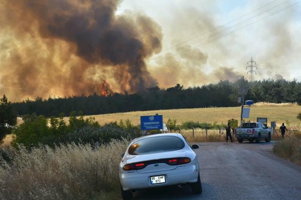İzmir Bornova'da orman yangını (6)