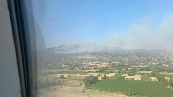 Aydın'ın Bozdoğan'da maki yangını