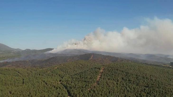 Manisa'da orman yangını (4)