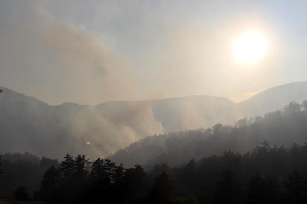 Bolu'da orman yangını (4)