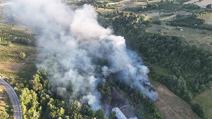 Bursa'da çöplükteki yangın ormana sıçradı