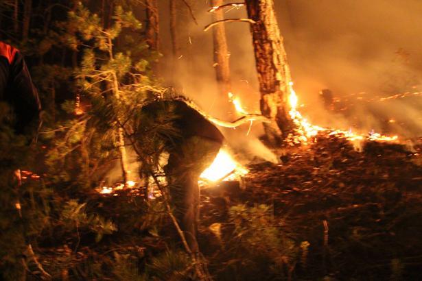 Bolu'da orman yangını (5)