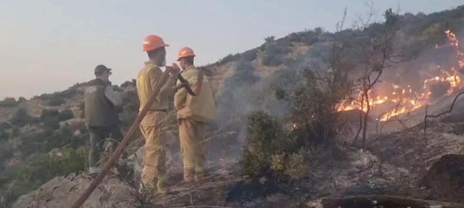 Aydın Bozdoğan'da maki yangını (3)