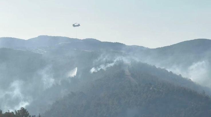 Manisa'daki orman yangını 2’nci gününde