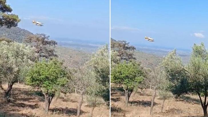 Balıkesir'deki orman yangını 24 saatte kontrol altına alındı