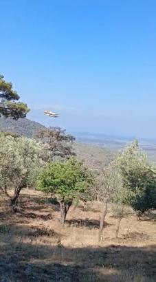 Balıkesir'deki orman yangını 24 saatte kontrol altına alındı