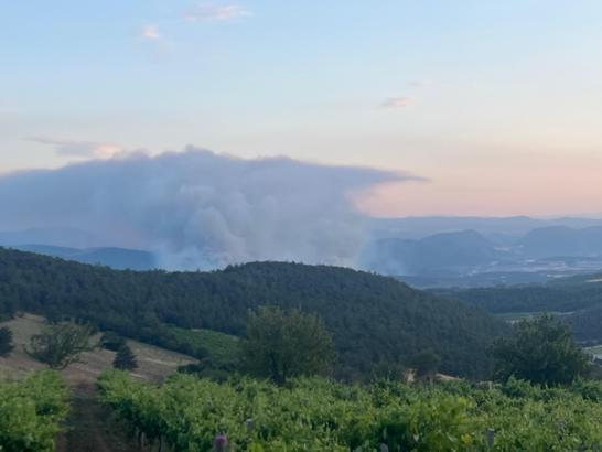 Sakarya'da çıkıp Bilecik’e sıçrayan orman yangını 3’üncü gününde
