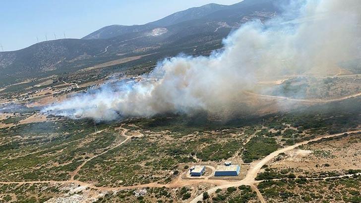 Aydın’daki maki yangını kontrol altında