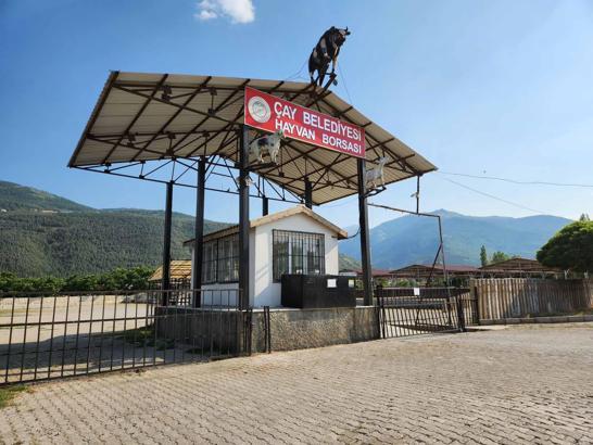 Çay’da hayvan pazarı kapatıldı