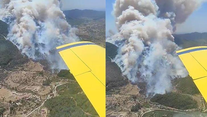 İzmir'de 2 ayrı noktada orman yangını