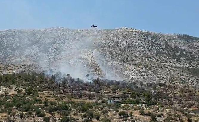 Mersin'de ağaçlık yangını söndürüldü