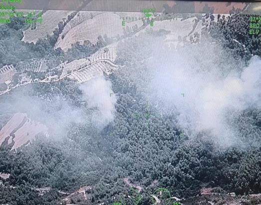 Osmaniye'de orman yangını