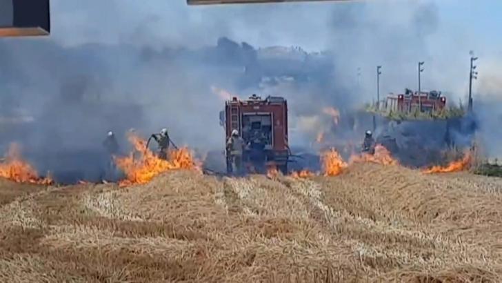 İstanbul-Silivri'de otluk alanda çıkan yangın çiftliğe sıçradı