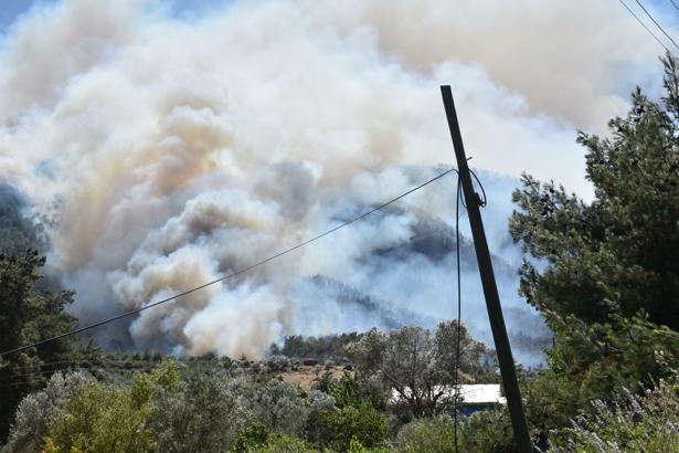 İzmir'de orman yangını (2)