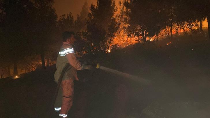 Anız yakarken ormanı yaktılar