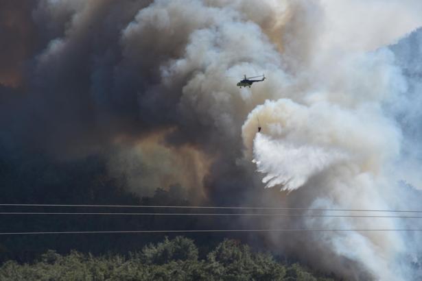İzmir'de orman yangını (3)
