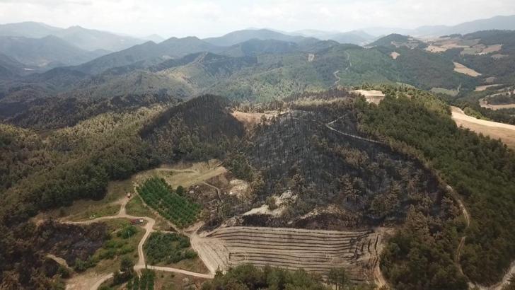 Sakarya'da çıkıp Bilecik’e sıçrayan orman yangını 3’üncü gününde / Ek fotoğraflar