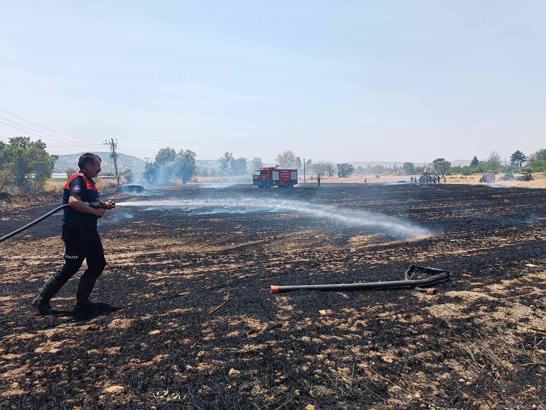 Tarla yangınında samanlar kül oldu
