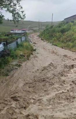 Göle’de sağanak sele yol açtı, evleri su bastı