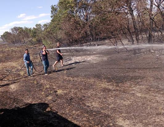 Süloğlu’nda 10 dönüm buğday, yangında zarar gördü