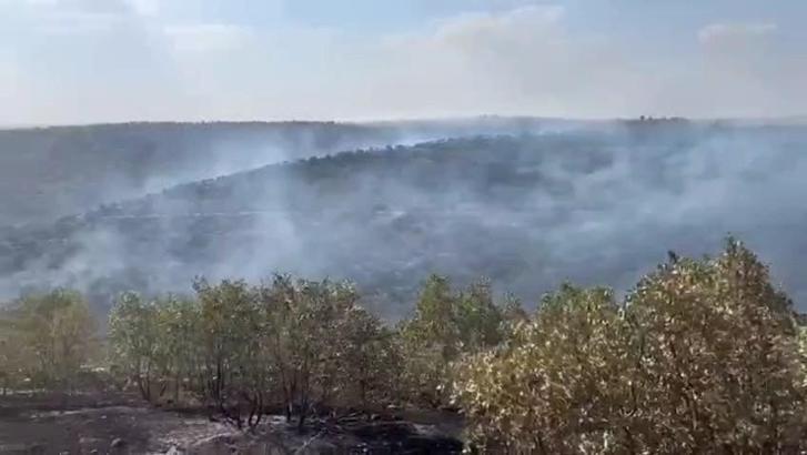 Mardin’de örtü yangını