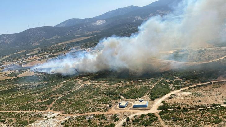 Aydın'da maki yangını (2)