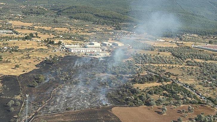 Bodrum'da tarım arazisinde yangın, 2 hektar zarar gördü