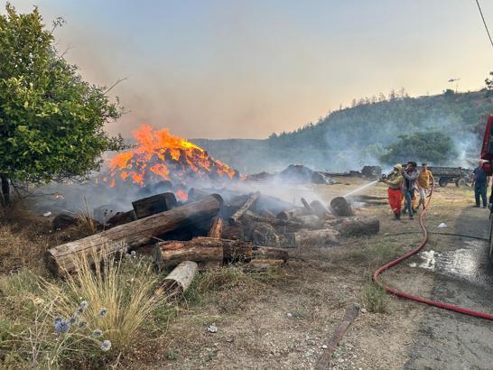 Antalya'da orman yangını