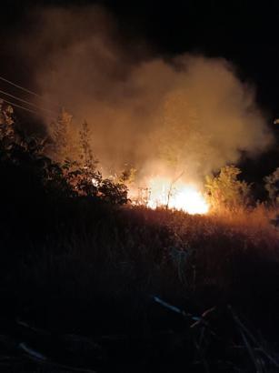 Mersin'de orman yangını