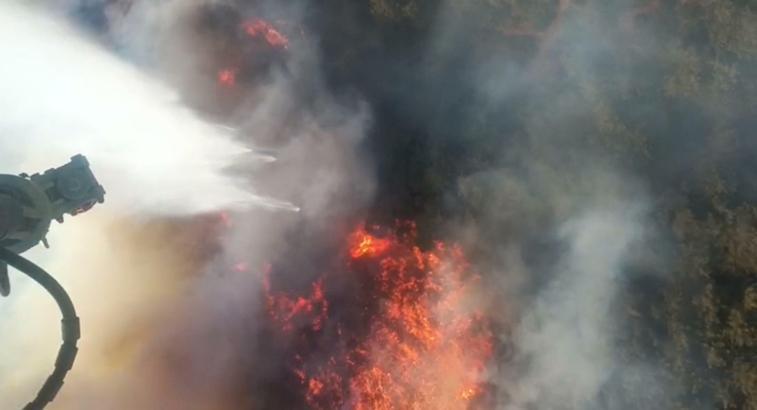 Manisa'daki orman yangını 2'nci gününde (3)