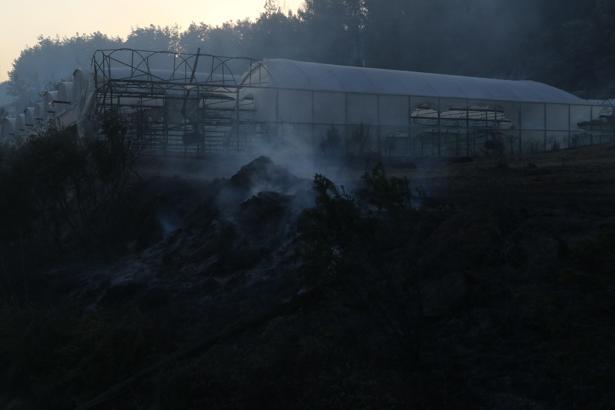 Antalya’da orman yangını (2)