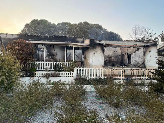 İzmir'de 2 ayrı noktada orman yangını (9)