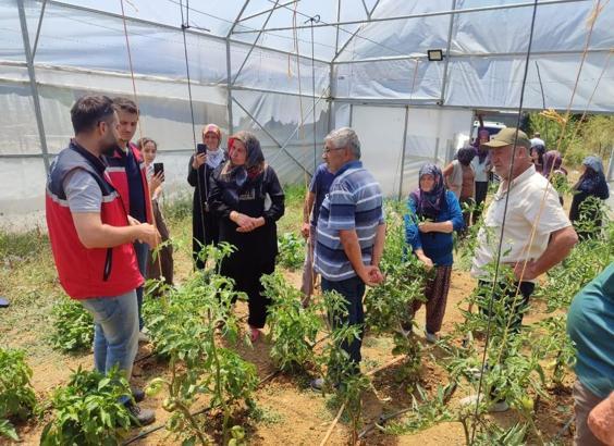 Kandıra’da örtüaltı sebze yetiştiriciliği eğitim çalışmaları devam ediyor