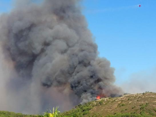 Antalya'da orman yangını