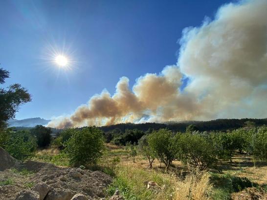 İzmir'deki orman yangını 2'nci gününde