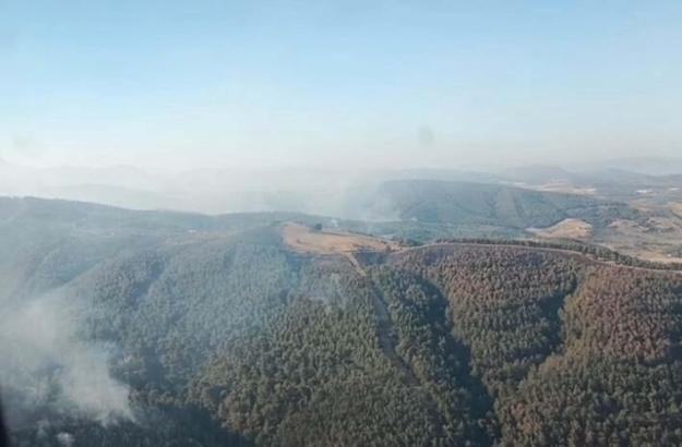 Manisa'daki orman yangını 3'üncü gününde