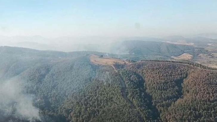 Manisa'daki orman yangını 3'üncü gününde