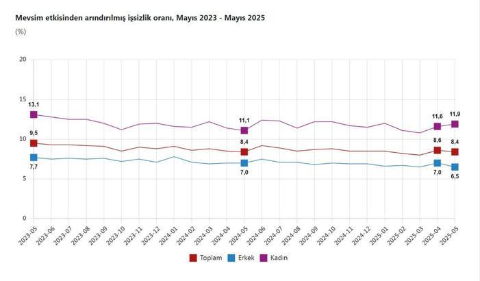 TÜİK: Mayısta işsizlik oranı yüzde 8,4 oldu