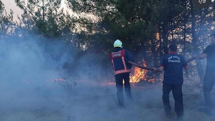 Sakarya'daki orman yangınında soğutma çalışmaları sürüyor