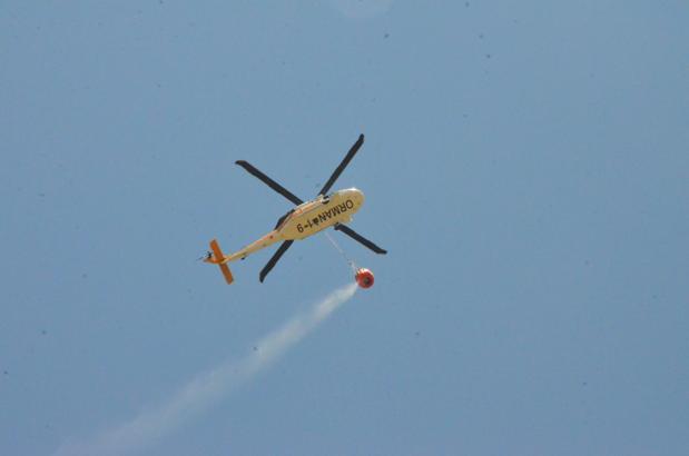 Sakarya'daki orman yangınında soğutma çalışmaları sürüyor