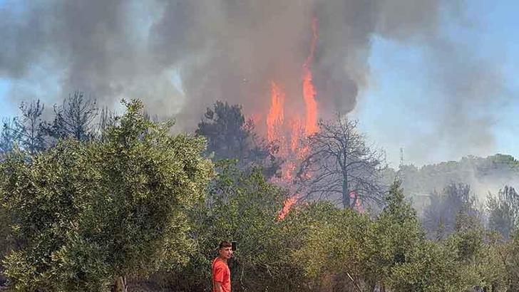 Antalya Aksu'da orman yangını kontrol altında